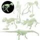 thumbnail image 1 of Juguete De Huesos De Dinosaurios Simulados, Modelo De Esqueleto Humano Luminoso, Juguete De Halloween, Fiesta De Disfraces seitruly FN005819-00, 1 of 6