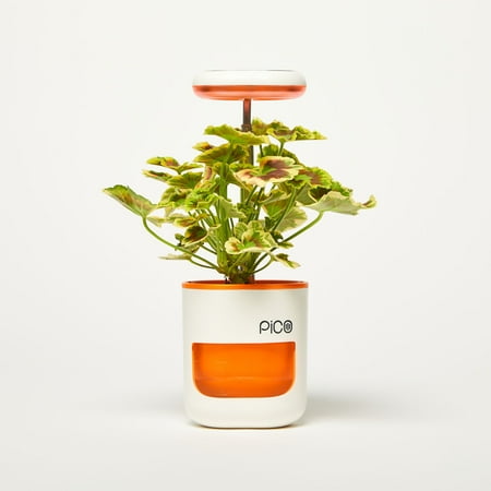 PICO Planter