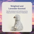 thumbnail image 3 of Animal de peluche Warmies Gray Sloth, apto para microondas y pesado, 3 of 6
