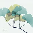 thumbnail image 2 of Koetsier, Albert 12x12 White Modern Wood Framed Museum Art Print Titled - Gingko L140, 2 of 4