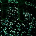 thumbnail image 6 of Glow In The Dark Decorative Pebble Stones, Luminous Rocks for Garden Walkway Driveway Plant Pot Fish Tank DIY Landscape Ornament，20pcs, 6 of 6