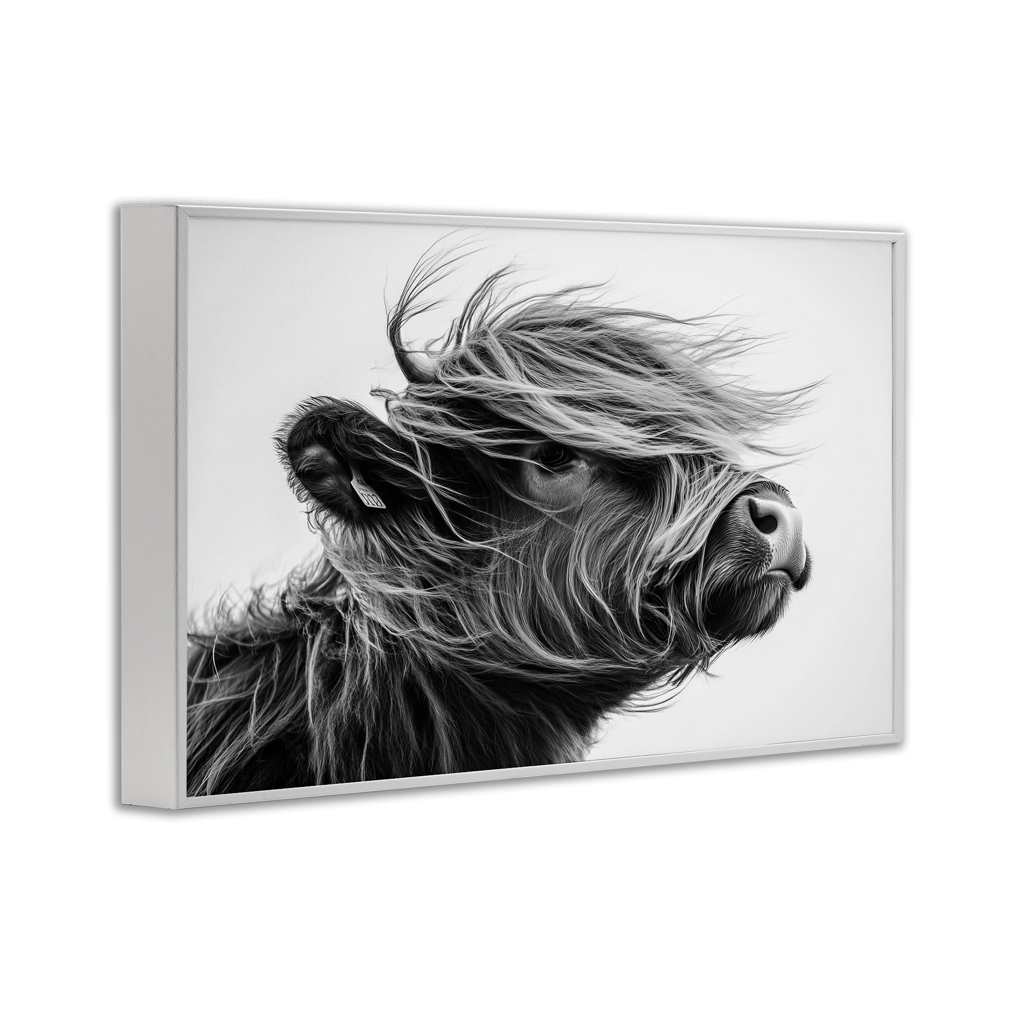 Stupell Industries Handsome Highland Portrait White Framed Giclee Art, design by Tina LeCour