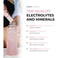 thumbnail image 4 of Instant Hydration Sugar Free Electrolyte Powder, Watermelon, 15 Sticks, 4 of 9
