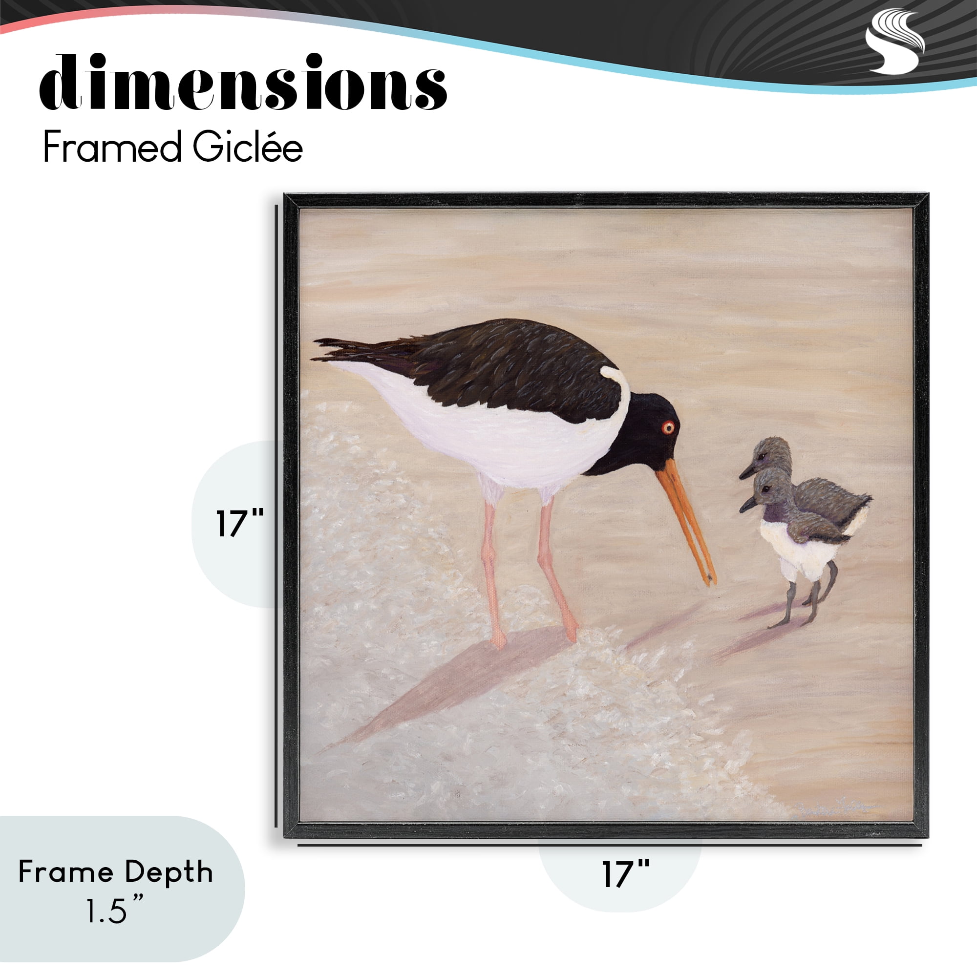 Stupell Industries American Oyster Catcher & Chicks Black Framed Giclee Art, design by Barbara Fallenbaum