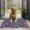 Pioneer Flower Floral-3, variant on Pioneer Flower Floral Print Pattern Door Rugs,Washable Non Slip Door Mats Indoor,Decorative Door Mats,Entry Mat Indoor for Entrance,Bedroom,Kitchen,Bathroom,17"x30"