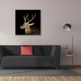 thumbnail image 3 of Epic Graffiti 'Sika Deer' by Epic Portfolio Giclee Canvas Wall Art, 37"x37", 3 of 8