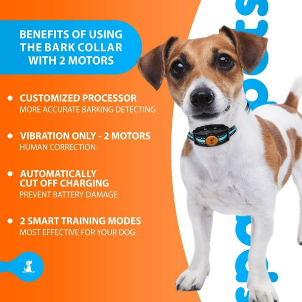 Dog collars that vibrate only online