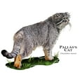 thumbnail image 3 of CafePress - Pallas's Cat Mug - 11 oz Ceramic Mug - Novelty Coffee Tea Cup, 3 of 6