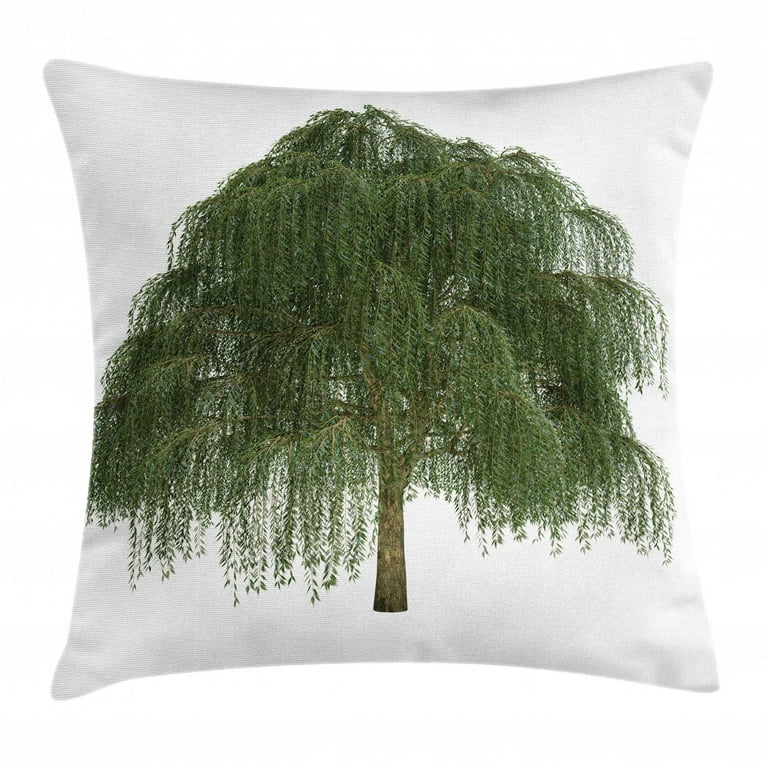 Willow and cheap green cushions