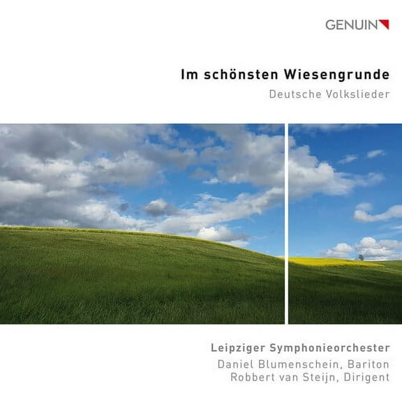 Leipziger Symphonieorchester - Im Schonsten Wiesengrunde - Music & Performance - CD