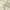 Ivory, variant on No. 918 Hathaway Twist Tab Semi-Sheer Tab Top Curtain Panel, 40"x84", Taupe