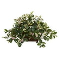 thumbnail image 2 of Nearly Natural 8203 Hoya Artificial Plant in Decorative Planter, 2 of 3
