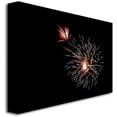 thumbnail image 2 of Trademark Art "Abstract Fireworks 32" Canvas Wall Art by Kurt Shaffer, 2 of 2
