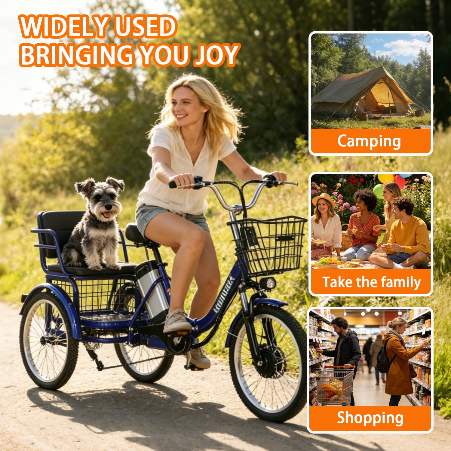 Electric Tricycle for Adults,20 Inch electric trike,36V 13AH Removable Li-Battery,3 Wheel 350w Ebike Suitable for Carrying Passengers and Cargo