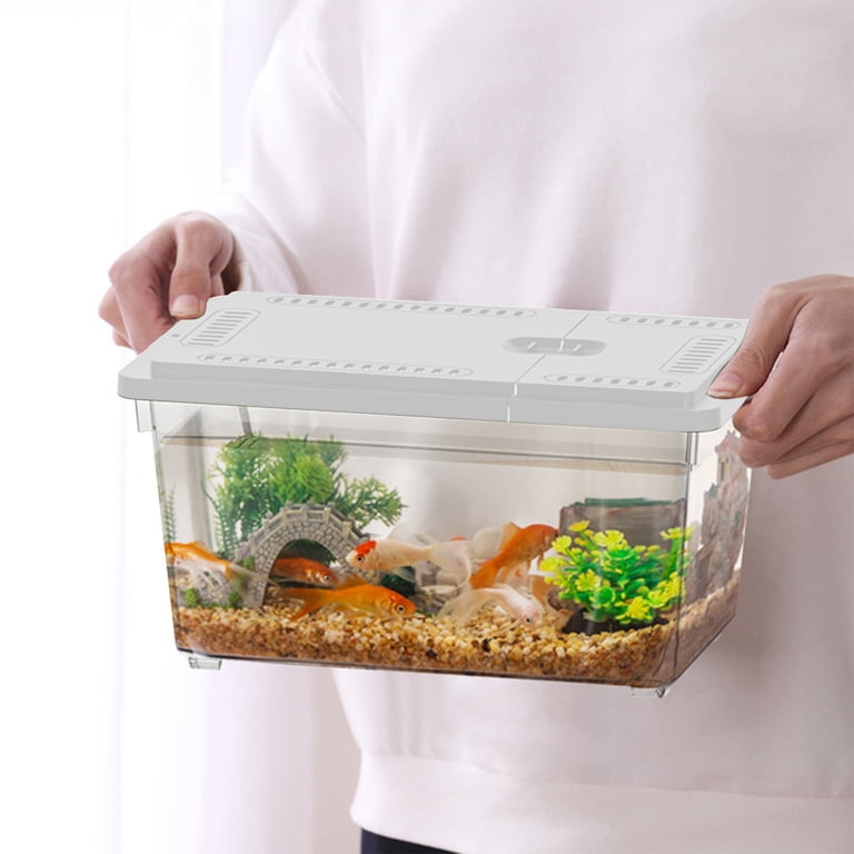 box fish aquarium care J-star Large Breeder for Tank, Acrylic Breeding Box for Guppy/Betta/Shrimp/Clownfish, Baby Fish Hatchery & Isolation Tank : Pet Supplies The precise heater Whitespotted boxfish - Seattle Aquarium