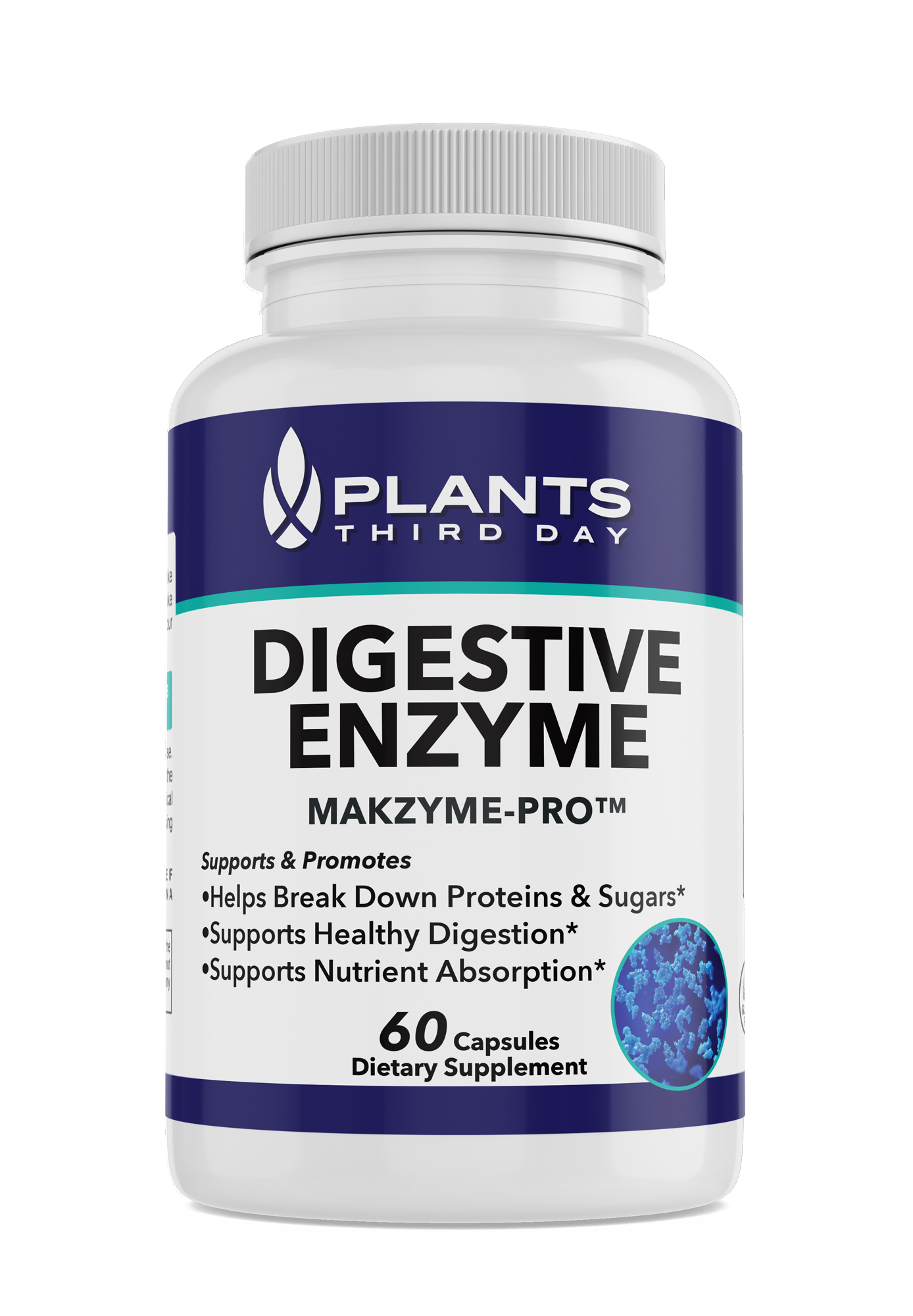Digestive Enzymes