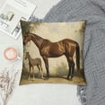 thumbnail image 2 of Creowell Horse Foal Field Pillow Covers for Couch Sofa Indoor Outdoor Throw Pillow Cover Short Plush Square Design 1PC 24x24in, 2 of 5