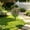 Multicolor-C/C, variant on 20 Inch Realistic Artificial Ground Insert Tree Faux Green Plant Stake Outdoor Garden Yard Patio Kitchen Landscape Decor Gift