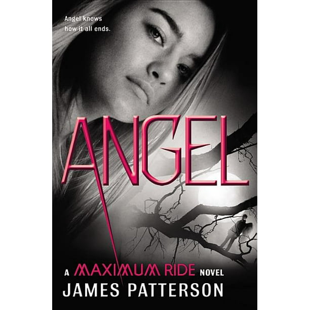 Maximum Ride: Angel (Series #7) (Hardcover) - Walmart.com