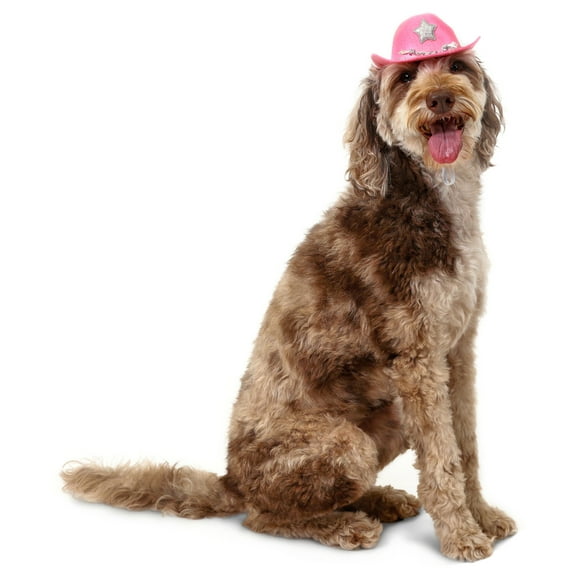 Vibrant Life Halloween Cowboy Hat Costume for Dogs & Cats, Pink, Extra Small/Small