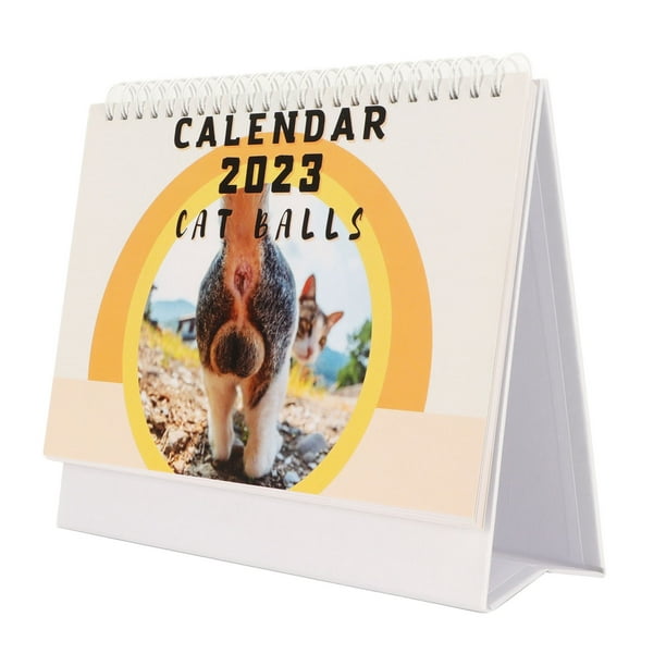 Calendrier mural mensuel pour les amoureux des animaux, calendrier de  licence familiale, photos de chats drôles