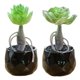 thumbnail image 1 of 2 uds suculentas bonsái adornos creativos plantas de flores artificiales en macetas flores falsas plantas verdes, 1 of 5