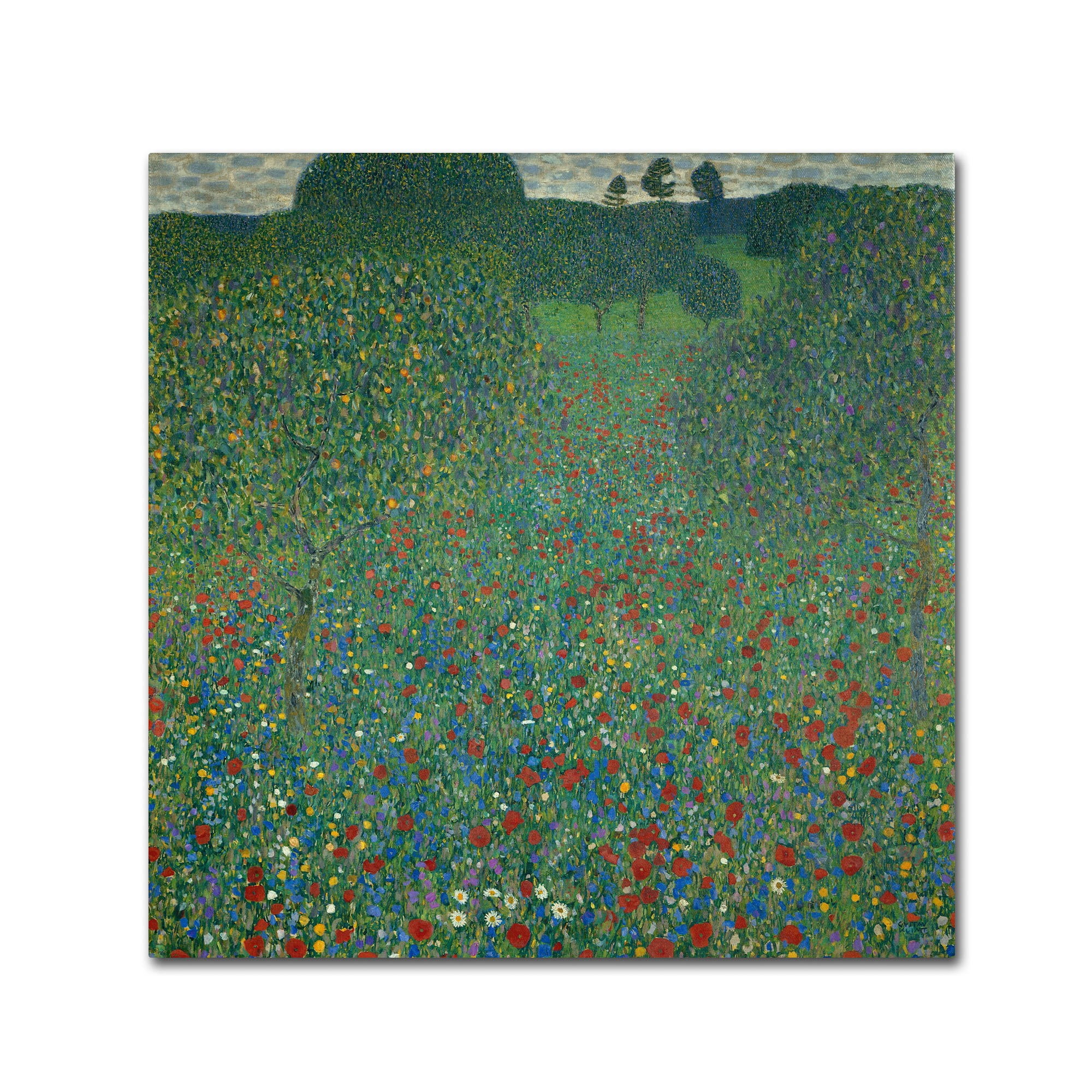Trademark Fine Art "Field of Poppies" 1907 Canvas Art by Gustav Klimt