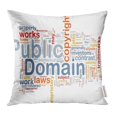 thumbnail image 1 of EREHome Property Wordcloud of Public Domain Work Oreiller Intellectuel Cas 16x16 Pouces Taie d'Oreiller, 1 of 1