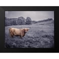 thumbnail image 2 of Frank, Assaf 14x12 Black Modern Framed Museum Art Print Titled - Highland Cow, 2 of 5