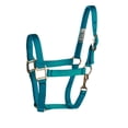 thumbnail image 2 of Deluxe 3-Ply Nylon Halter w/Snap Average Turquoise, 2 of 2