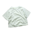 thumbnail image 6 of YDFCWXW Little Kids Striped T-Shirt Boys Girls Short Sleeve Cotton Tee Tops Toddler Raglan Sleeve Crewneck Shirt (Light Green, 2-3 Years), 6 of 6