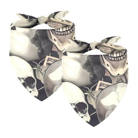 PhooArto Vintage Skulls and Dollar Pattern Dog Bandanas 2 Pack Soft Washable Pet Scarf Triangle for Large Dogs Puppies and Cats