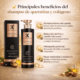 thumbnail image 5 of Shampoo Fortalecedor Keratinequeen 730ml – Keratina + Colágeno, Anti-Caída y Reparación Profunda de Daños, Cabello Más Fuerte y Suave, 5 of 5