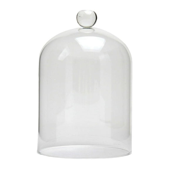 Baoblaze Cover Clear Glass Display for Study Room Home Christmas L