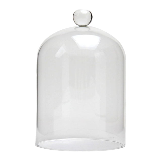simhoa Eternal Flowers Glass Cover Clear Glass Display for Study Room Home Christmas L