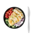 thumbnail image 6 of Restaurantware-RW Base 7.3 Inch Disposable Knives, 250 Heavy Duty Knives - With Long Handles, Durable And Sturdy, Clear Plastic Party Knives, For Party, Picnics, Or Take Out, 6 of 11