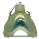 Remplacement de la Lampe de Projecteur Original Philips pour Sony VPL-HW50ES (Ampoule Seulement) – image 3 sur 5