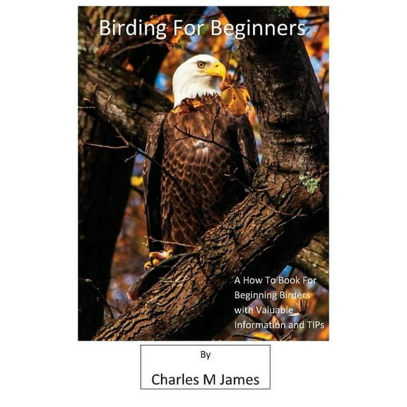 Birding For Beginners