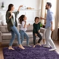 thumbnail image 2 of Softlife Stylish Soft Shaggy Velvet Carpet for Living Room/Bedroom, Fluffy Rugs,6' x 9',Grayish Purple, 2 of 7