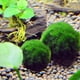 thumbnail image 4 of Bolas de musgo de algas verdes, simulación de acuario artificial, adorno de algas de paisaje para decoración de peceras, 3 piezas pequeñas Sailing  Electrónica, 4 of 5