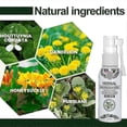 thumbnail image 5 of Herbal Hemorrhoids Spray Eelhoe Hemorrhoids Spray Natural Hemorrhoids Treatment Spray Relieve Itching Pain 30ml, 5 of 5