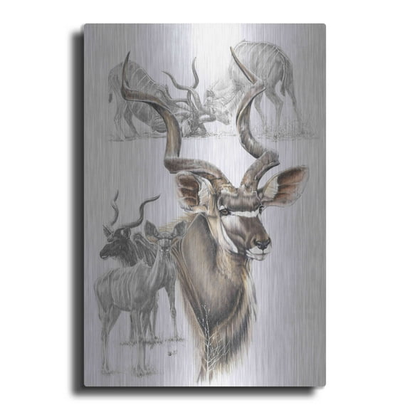 Luxe Metal Art 'Kudu' by Barbara Keith, Metal Wall Art, 12"x16"