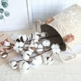 thumbnail image 3 of Product Classification Flowers Product Title Farmhouse Fill Style Dried Flowers for Home 2-Piece Set, 3 of 8