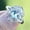 Aquamarine# 1, variant on Luxury 925 Silver Rings Women Cubic Ziconia Jewelry Weeding Rings Size 6-10-6-Aquamarine# 1