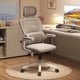 thumbnail image 2 of Luxury Ergonomic Office Chair Back Gaming Computer Aesthetic Desk Chair Boys Comfy Bedrooms Silla Para Oficina Decoration My Lux Decor Round, 2 of 15