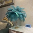 thumbnail image 3 of Ostrich Feather Night Light, Rechargeable Modern LED Decorative  Light with Feathers Dimmable Bedside Table Lamp Touch Switch Ostrich Feather Lamp for Bedroom Nightstand, 3 of 8