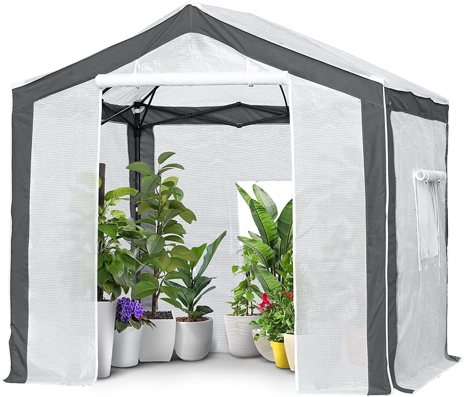 ASTEROUTDOOR 8'x 6' Portable Walk-in Instant Pop up Greenhouse for Outdoor Plant Garden Greenhouse,Front and Rear Roll-up Zipper Entry Doors and Roll-Up Side Windows and 2 Shelves 