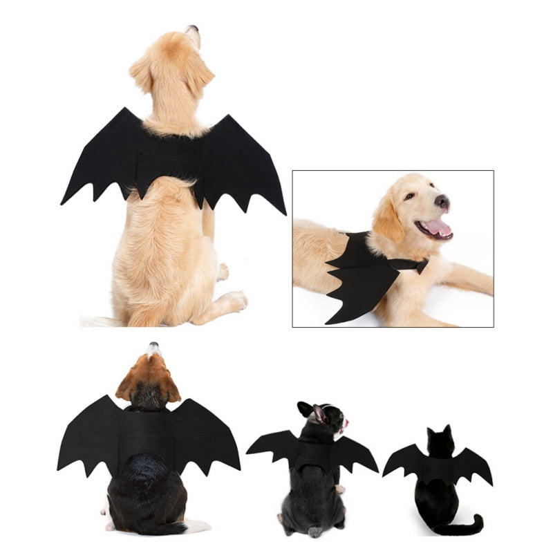 target baby bat costume