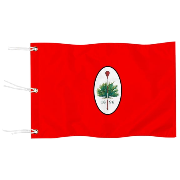 DianYu Merion Golf Club Golf Pin Flag Practic Putting Green Golf Flag For Backyard Garden  Miniature Pin Flag with Three Brass Grommets 12x18Inch