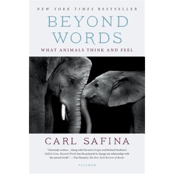 Pre-Owned Beyond Words: What Animals Think and Feel (Paperback) 1250094593 9781250094599